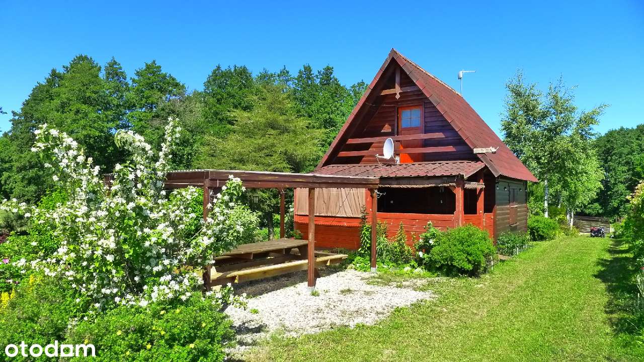 Filipów - domek koło lasu i jeziora - Pełny obrazek: 3/20