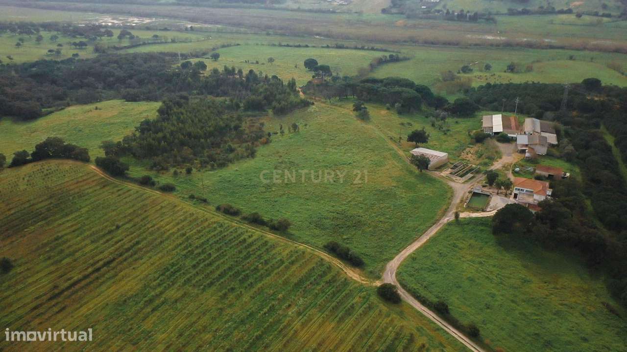 Magnífica Quinta em Santarém com 7 Quartos e 5 Casas de Banho - Grande imagem: 5/60