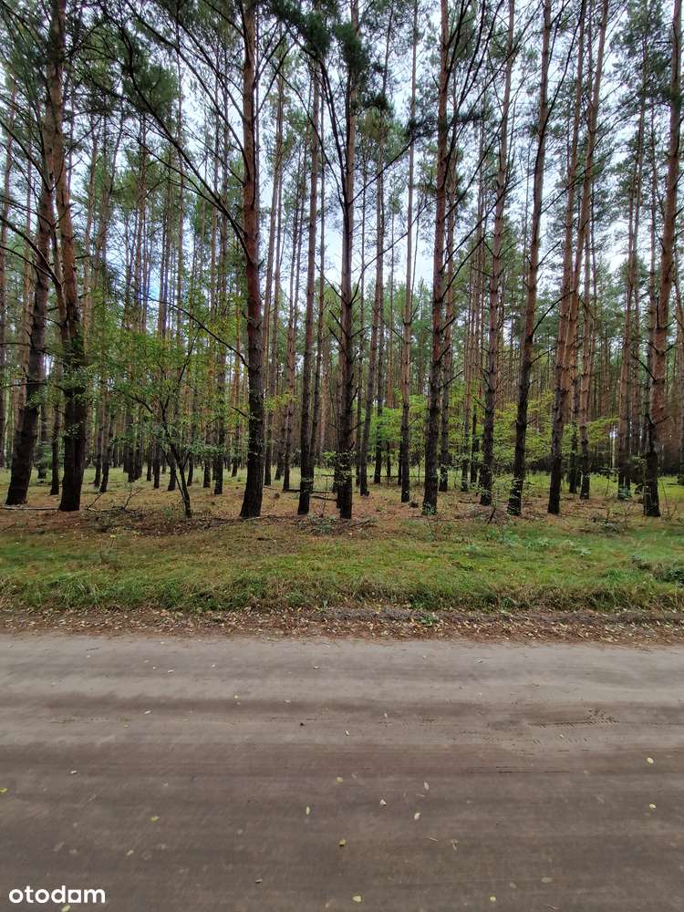 Miastko - działka  z projektem i fundamentami - bezpośrednio - Pełny obrazek: 3/9