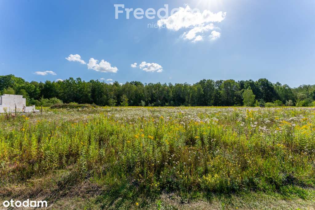 Działka 1400 m² w Nowym Prażmowie - Pełny obrazek: 5/11