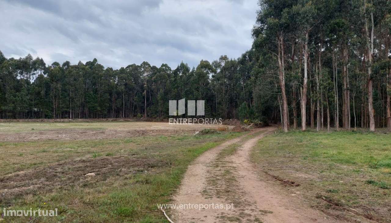 Venda de Terreno Industrial, Palmeira de Faro, Esposende. - Grande imagem: 5/27