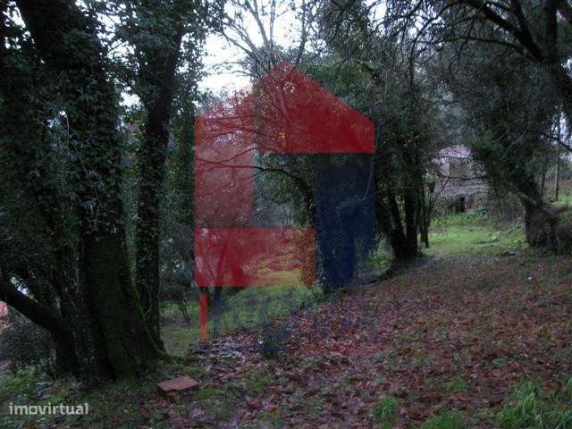 Quinta em Covas - Grande imagem: 4/6