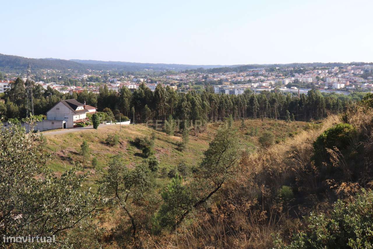 Terreno às portas da Cidade de Pombal - Grande imagem: 3/14