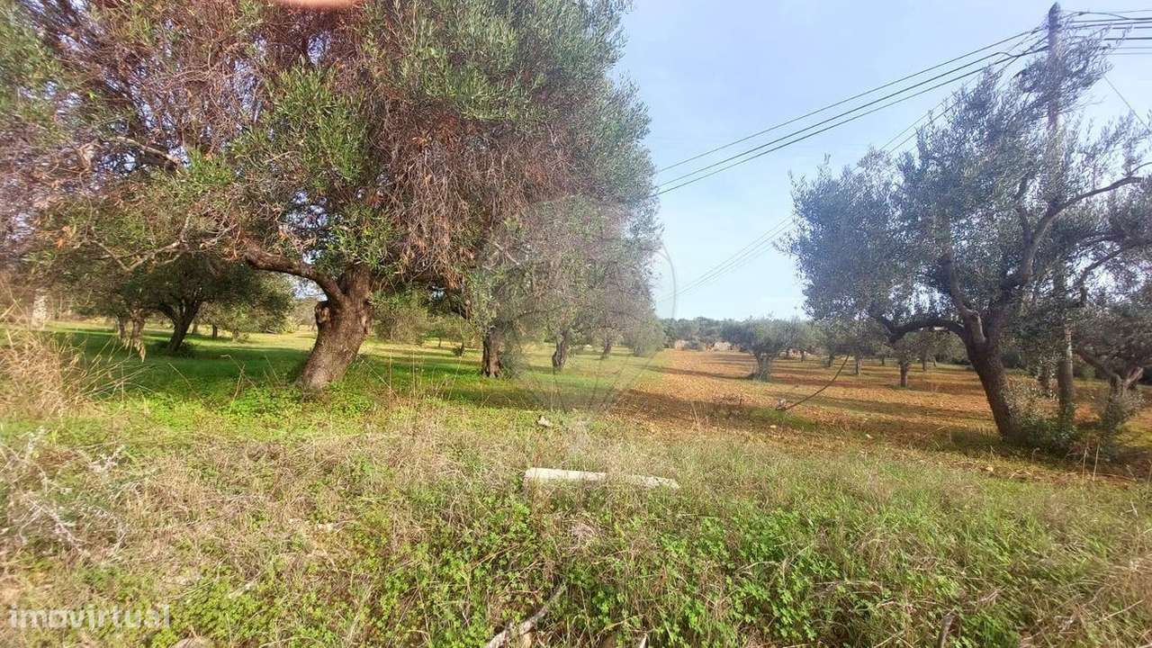 Terreno  para venda - Grande imagem: 3/3