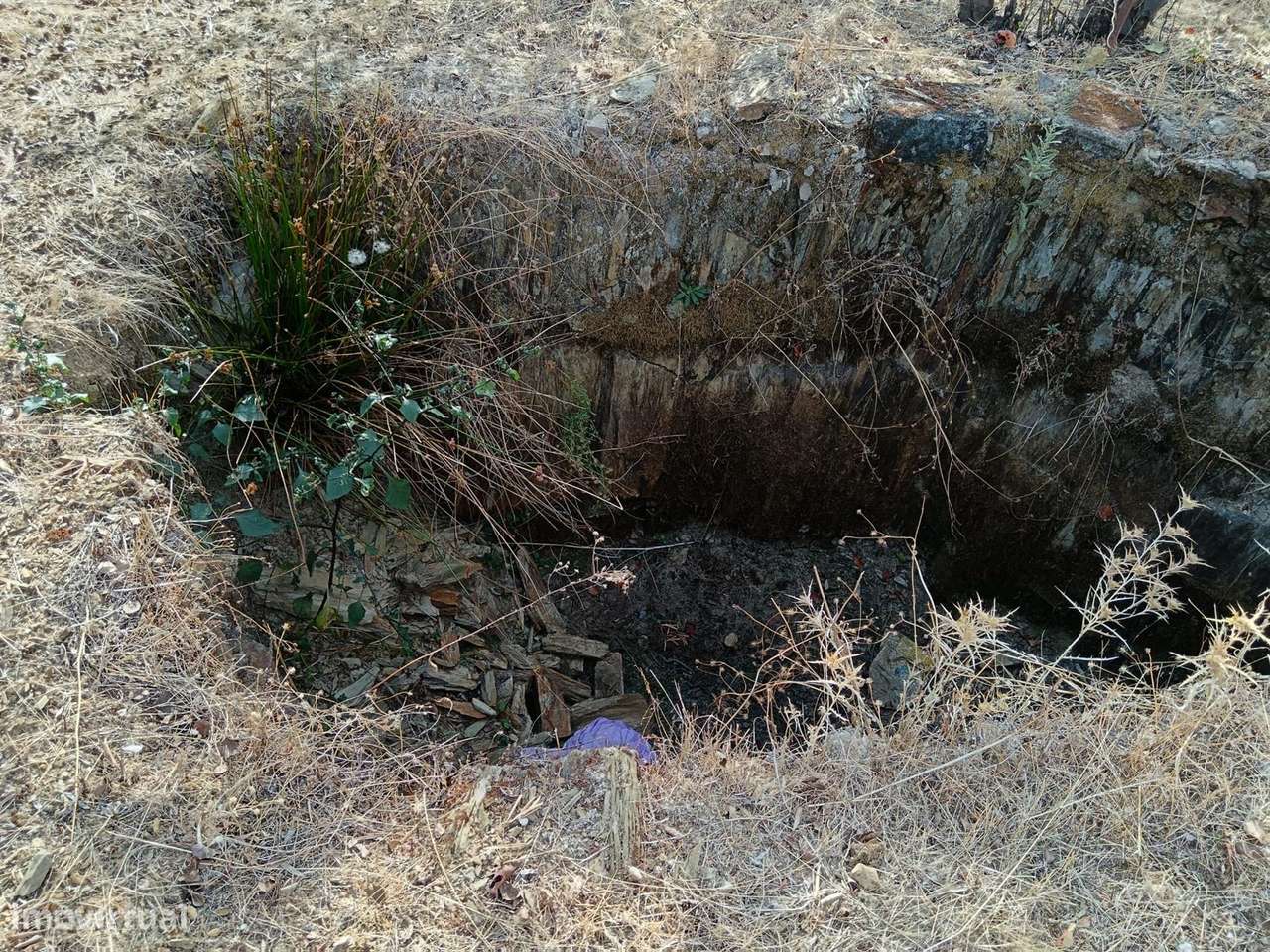 Terreno - Grande imagem: 5/8