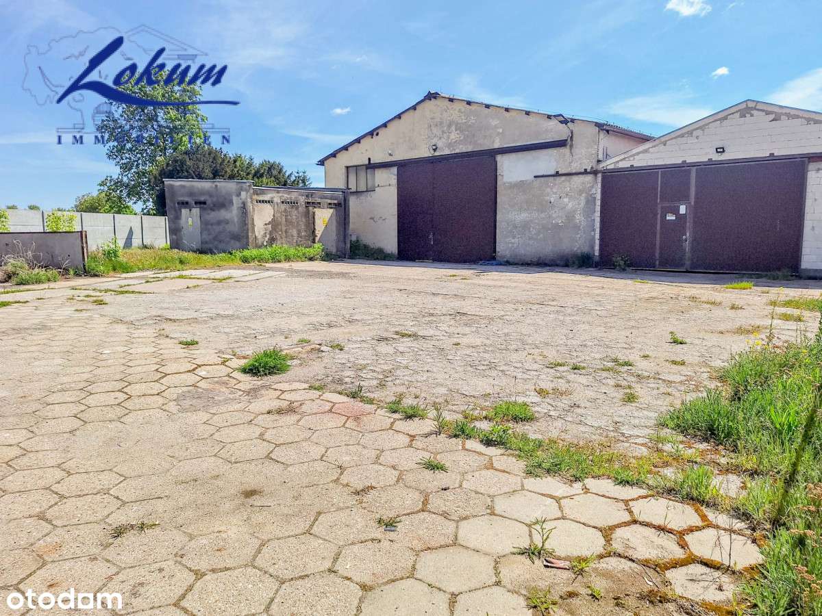 Do wynajęcia dwie duże hale w o powierzchni 1418m2 - Pełny obrazek: 4/4