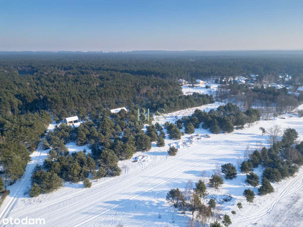 Duża działka na skraju lasu pod dom lub inwestycję