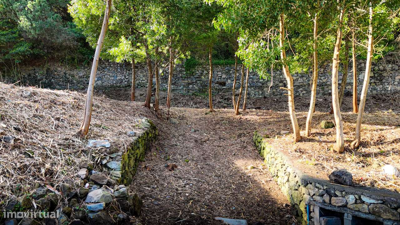 Lote para Construção com Vista Mar na Caloura – Lote Nº3-19