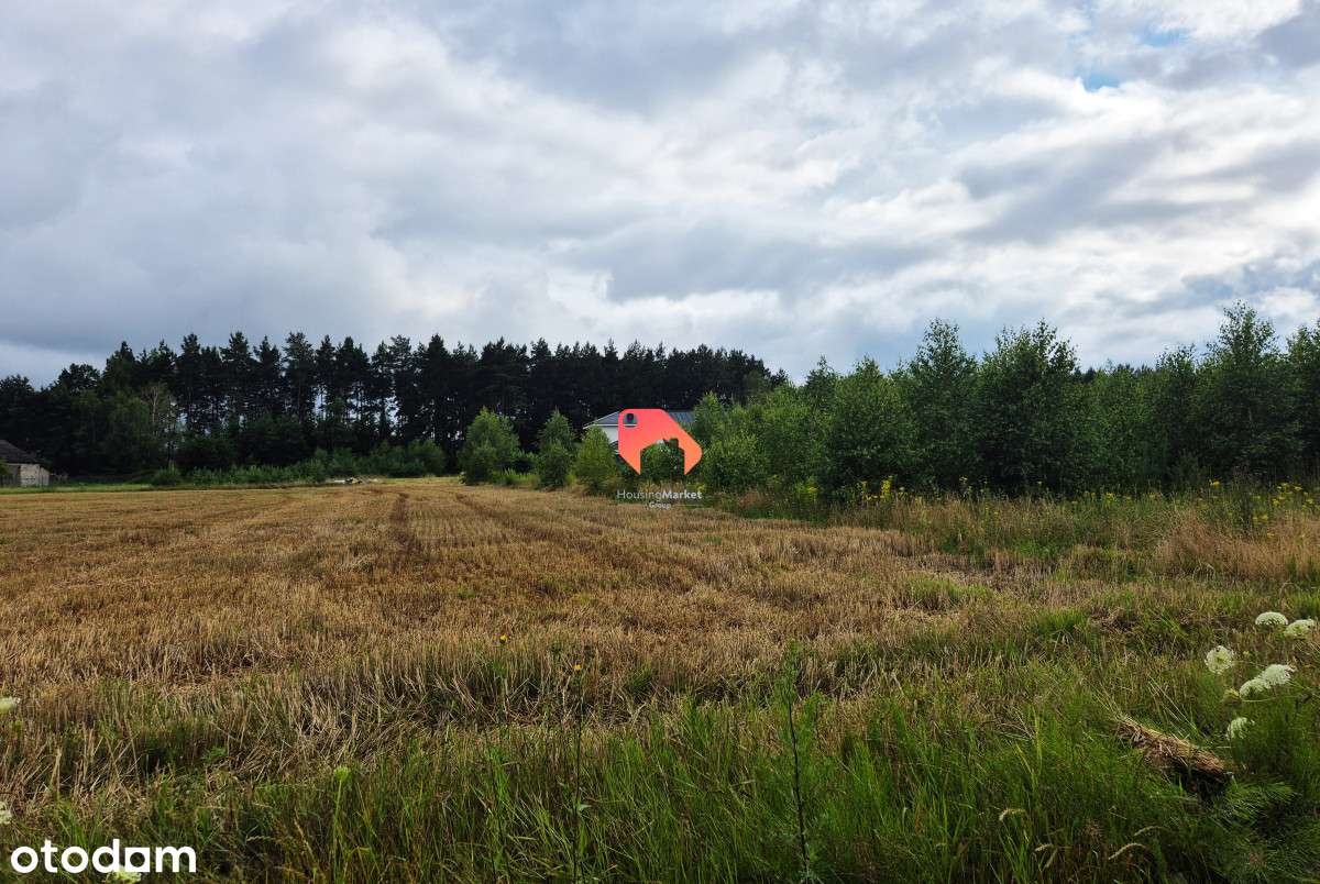 Działka Budowlana Przy Samym Lesie - Nekla  1189m2 - Pełny obrazek: 5/7
