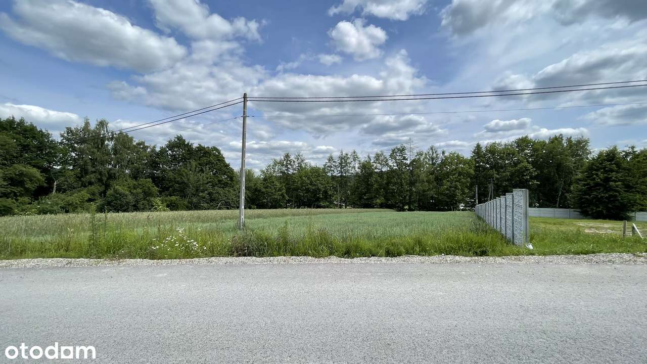 Działka budowlano - usługowa Głogoczów 43 ary-3