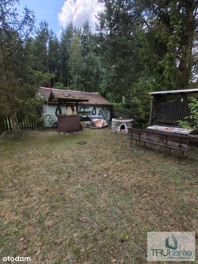 Działka rolno budowlana 1,5 ha | Las, jezioro - Pełny obrazek: 4/8