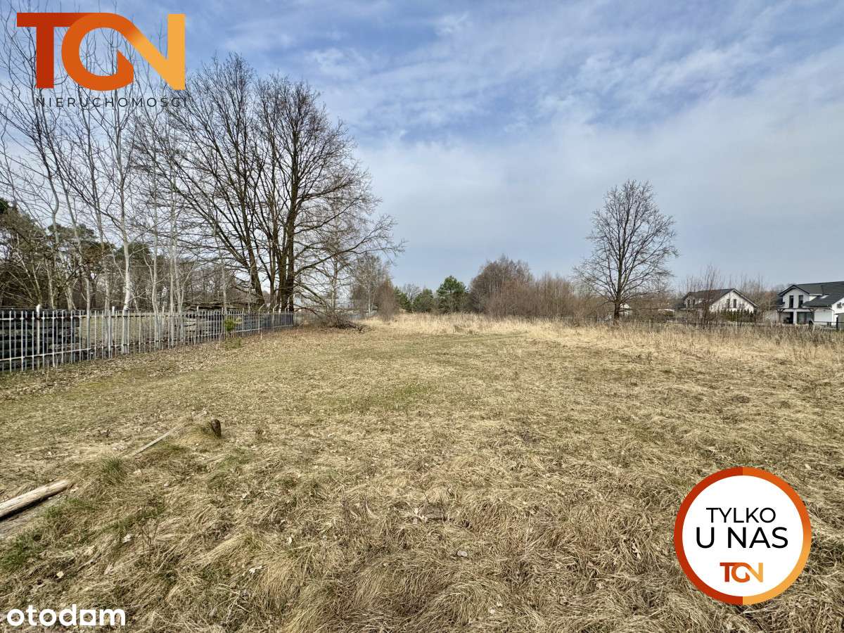 Duża działka na Teofilowie - Pełny obrazek: 1/7