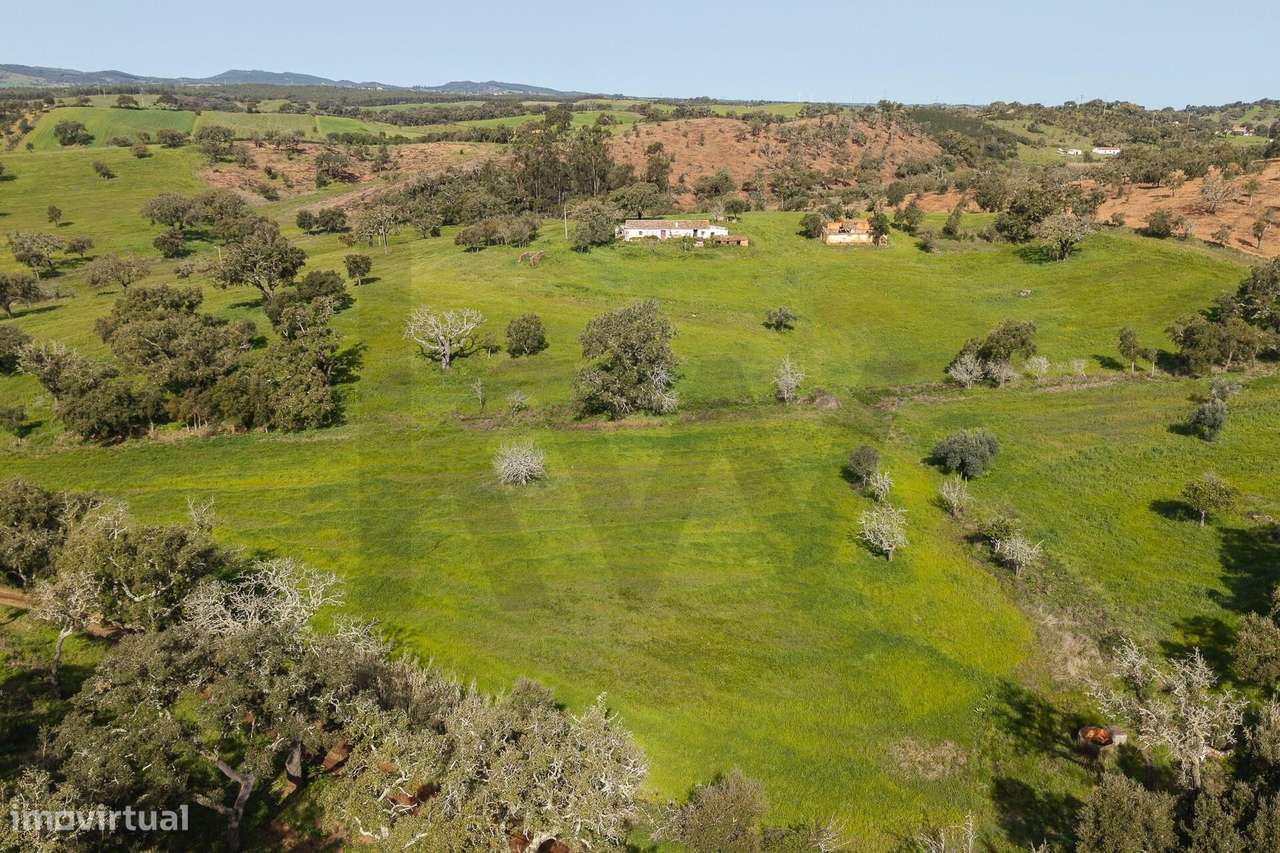 MONTE FERRENHO | PIP INFORMADO | Cercal do Alentejo | Santiago do Cacé - Grande imagem: 4/50