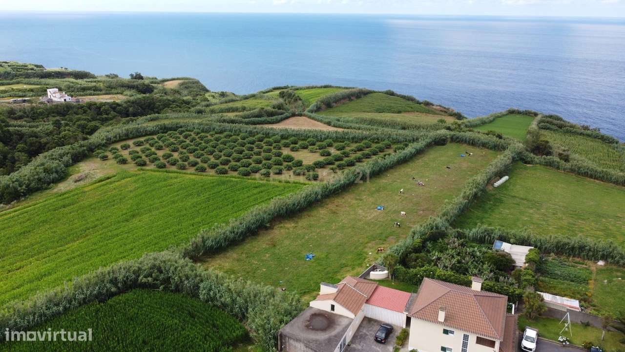 Terreno Agrícola com Vista Mar em Candelária ,Ponta Delgada - 65.000€ - Grande imagem: 3/3