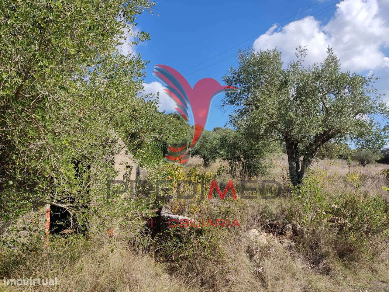 Terreno rustico com 4495 m² - Grande imagem: 2/9