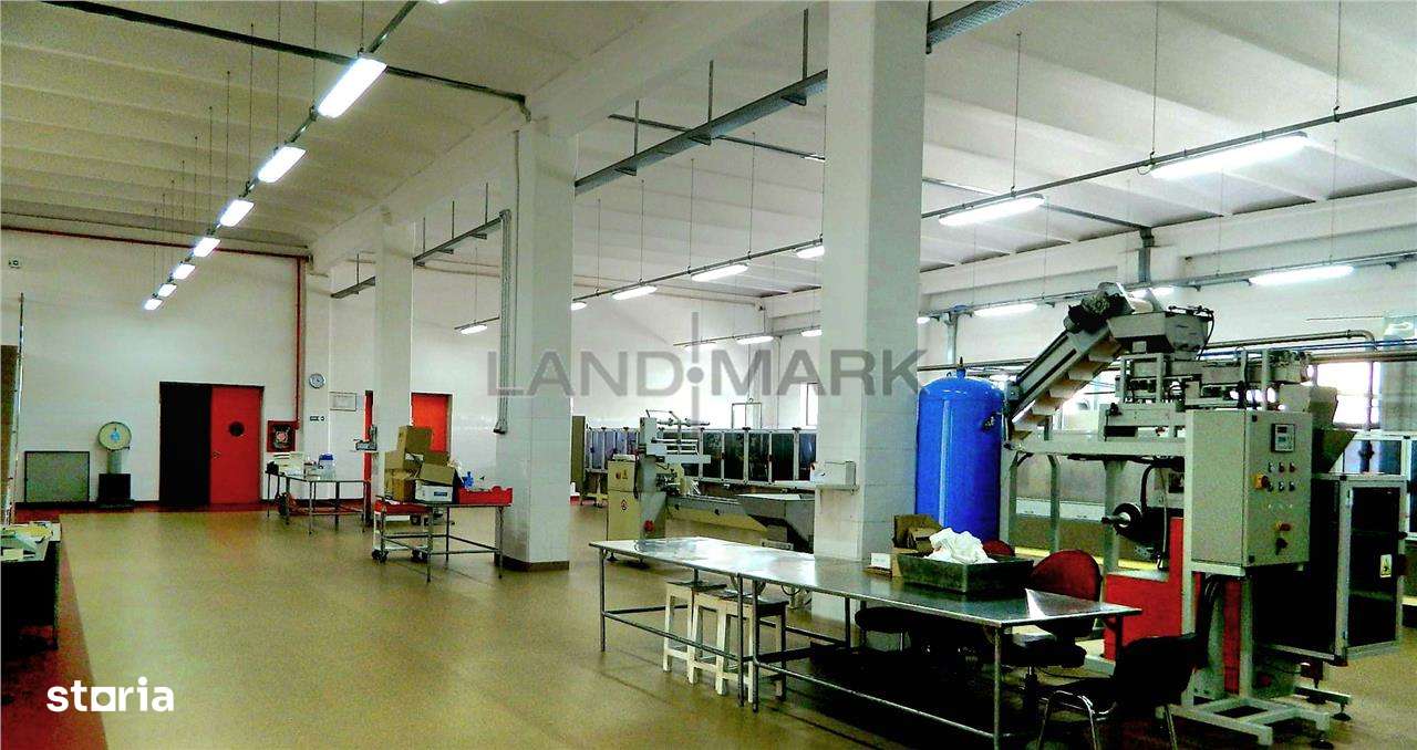 Hala industriala de vanzare, Timisoara Nord Vest - Imagine principală: 4/14