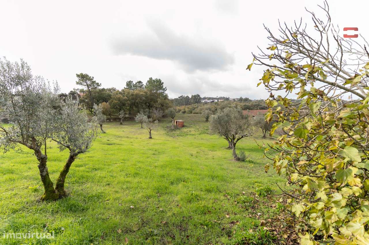 TERRENO 2832 m² com BARRAÇÃO EM PEDRA que pode ser reabilitado e tr... - Grande imagem: 5/28
