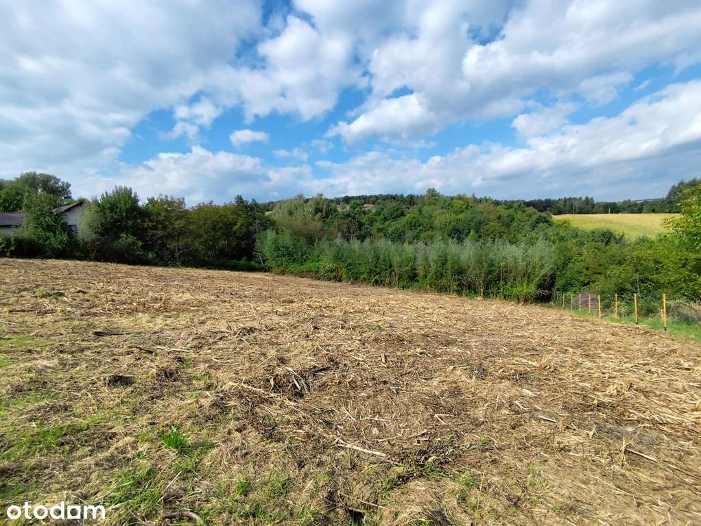 Działka 53a budowlano-rolna Kraków Podgórze Kosocice-2