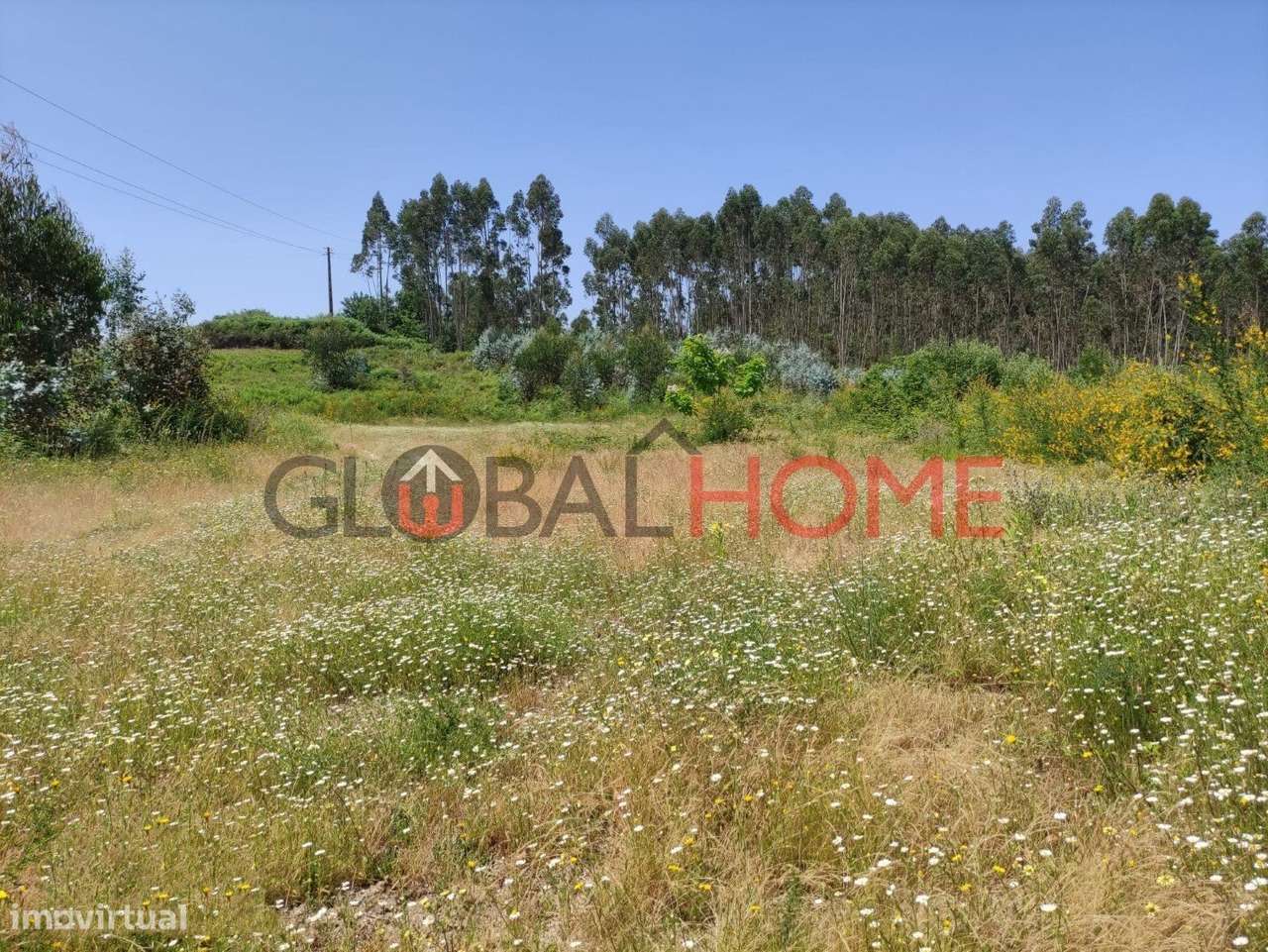 TERRENO VILELA - PAREDES - Grande imagem: 4/11