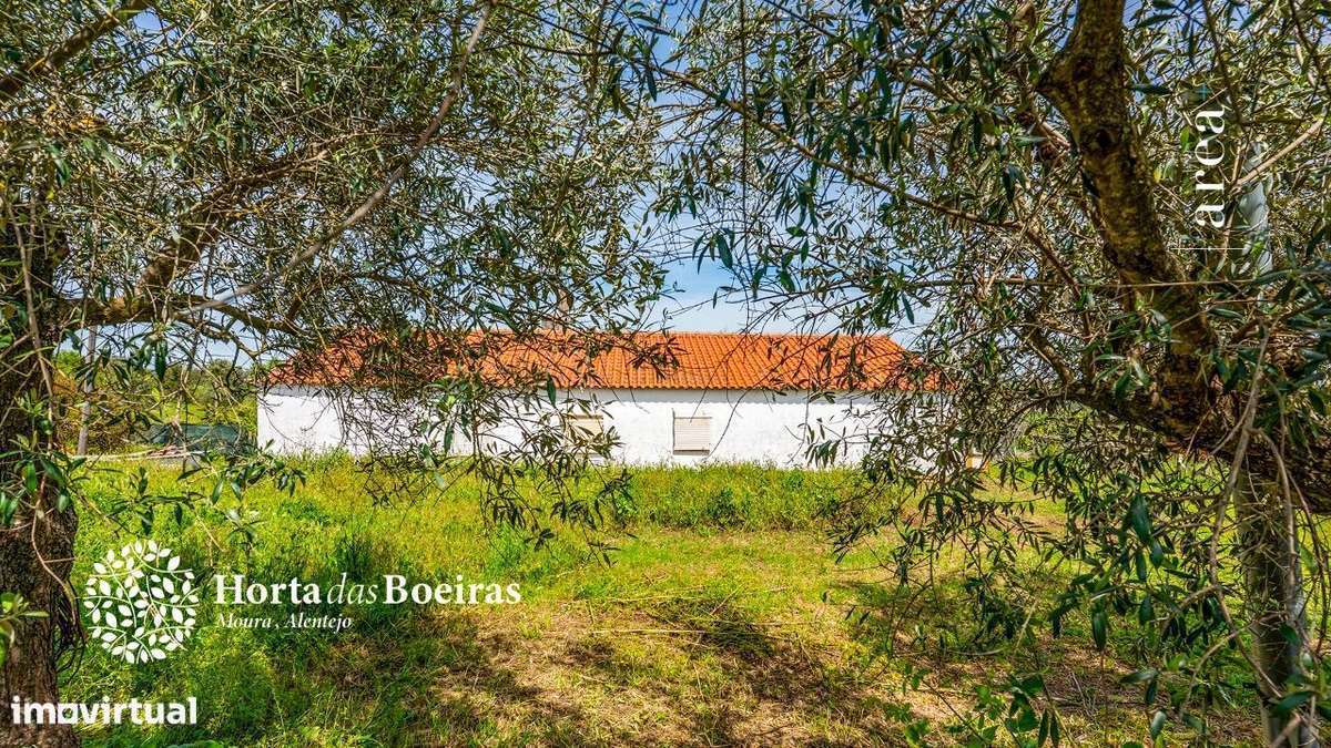 Imóvel Exclusivo | Hortas das Boeiras-7