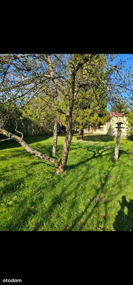 Duża działka ,kameralny dom - Bełk ul. Główna - Pełny obrazek: 5/18