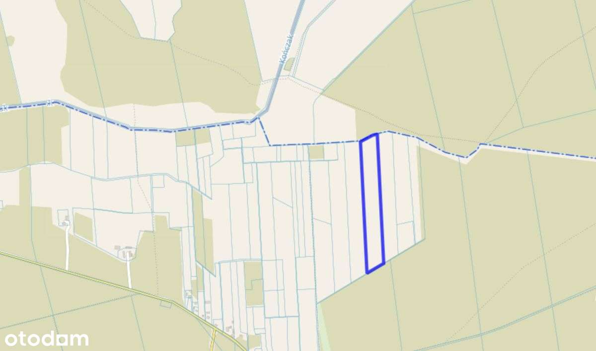 Podlesie, działka rolna - Pełny obrazek: 2/4
