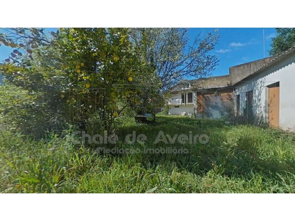 Quinta com 5.000 m2 e casa habitação T5 em Águeda-40