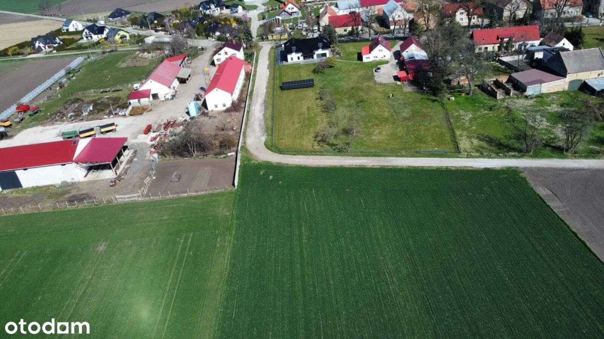 Działka budowlana Turów gmina Żurawina 1451m2 - Pełny obrazek: 4/7