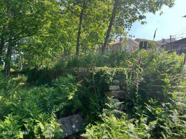 Terreno Rústico à Venda em Perozelo, Penafiel – Perfeito para Moradia - Grande imagem: 5/42