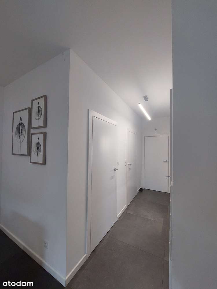 Plewiska komfortowy dom w ciekawej aranżacji z pełnym wyposażeniem-9