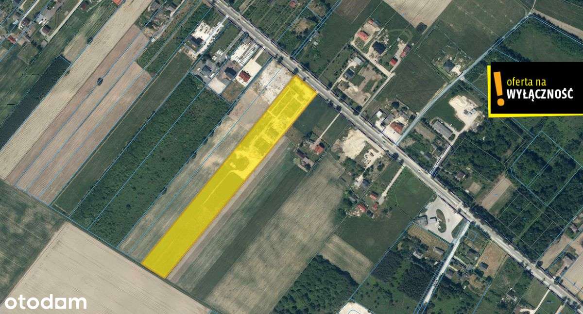 Działka inwestycyjna 2,41 ha przy Dk74 - Pełny obrazek: 4/20