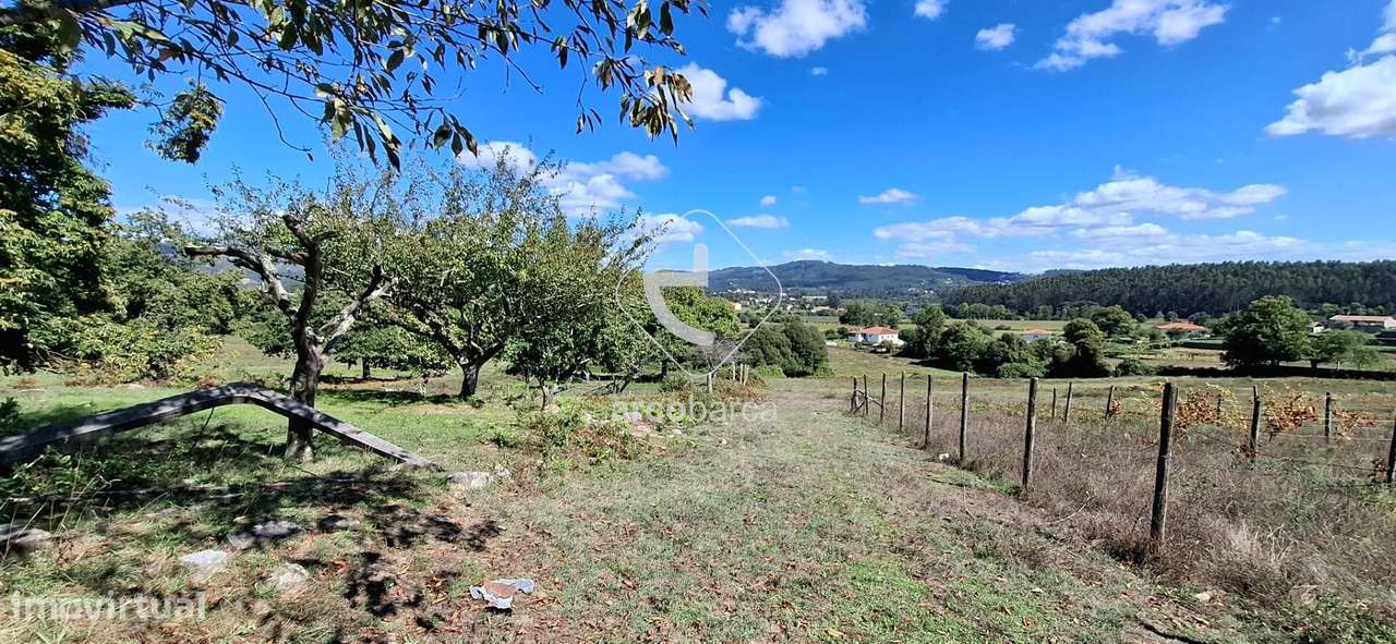 Quinta Agricola de 6Hect. c/casa T3 em Calvelo - Ponte de Lima-17