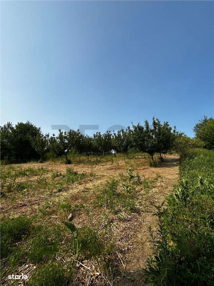 RECO Terenuri intravilane+ Teren Extravilan 8200 mp, Cartier Podgoria - Imagine principală: 5/9