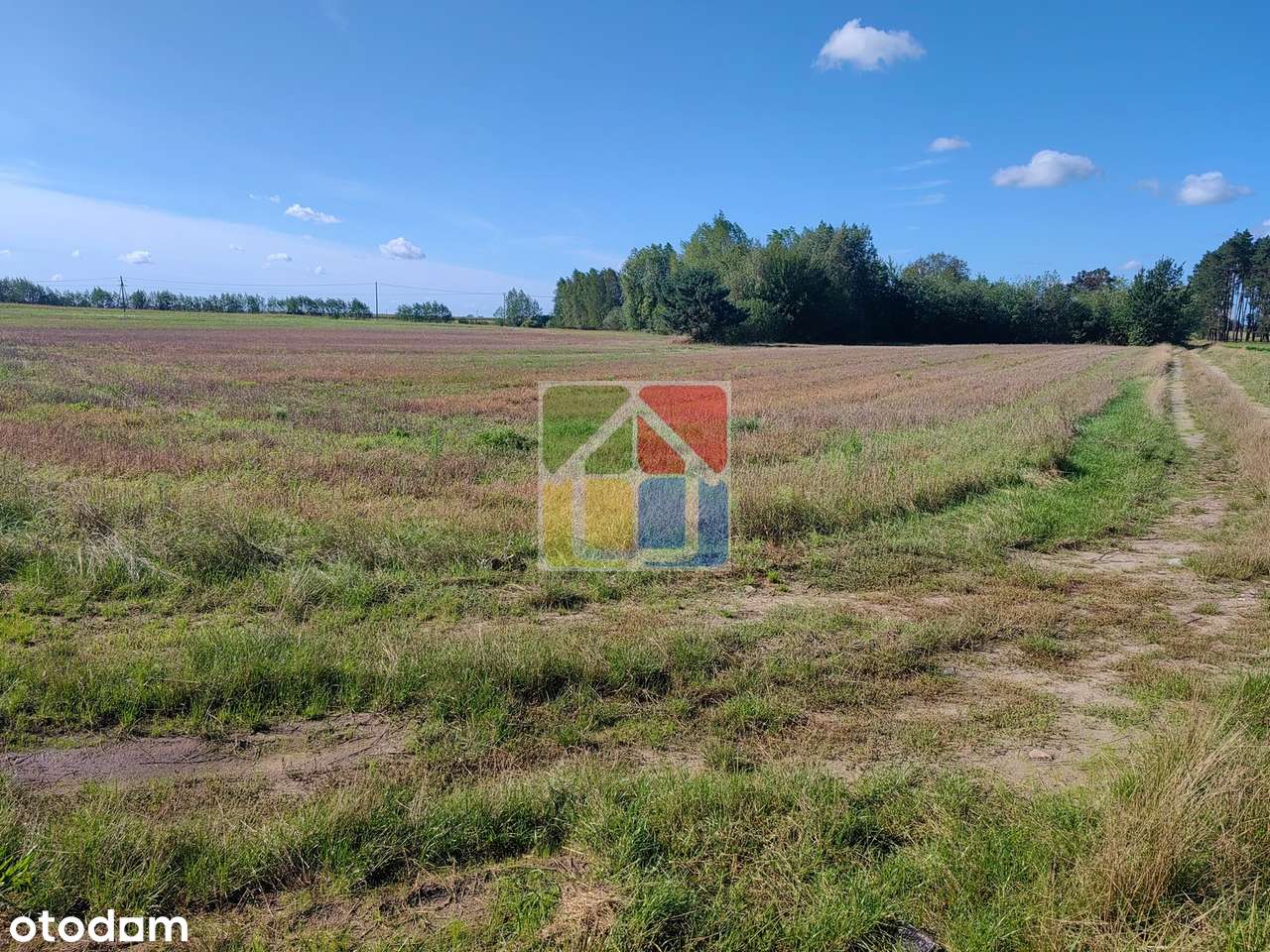 Działka rolna z możliwością uzyskania warunków zabudowy