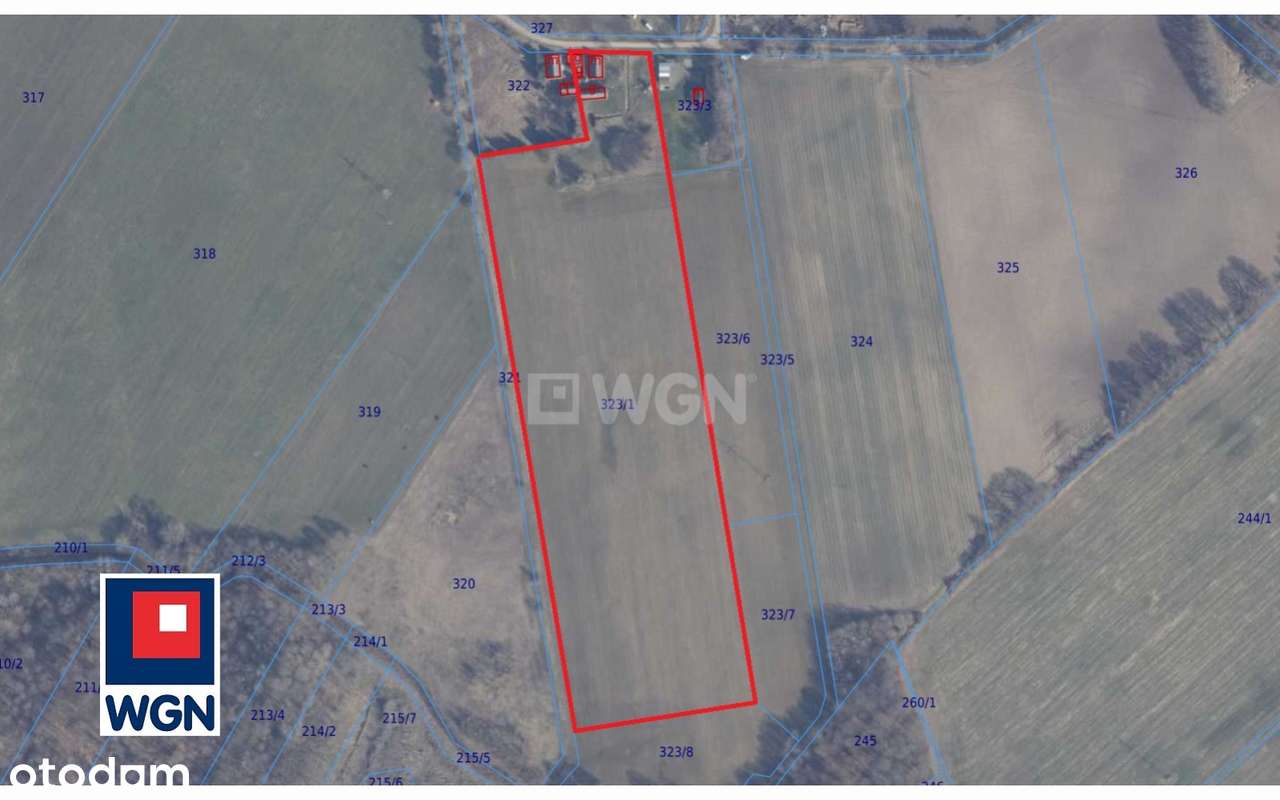 Działka nad morzem, Wodnica Kolonia - Pełny obrazek: 5/20