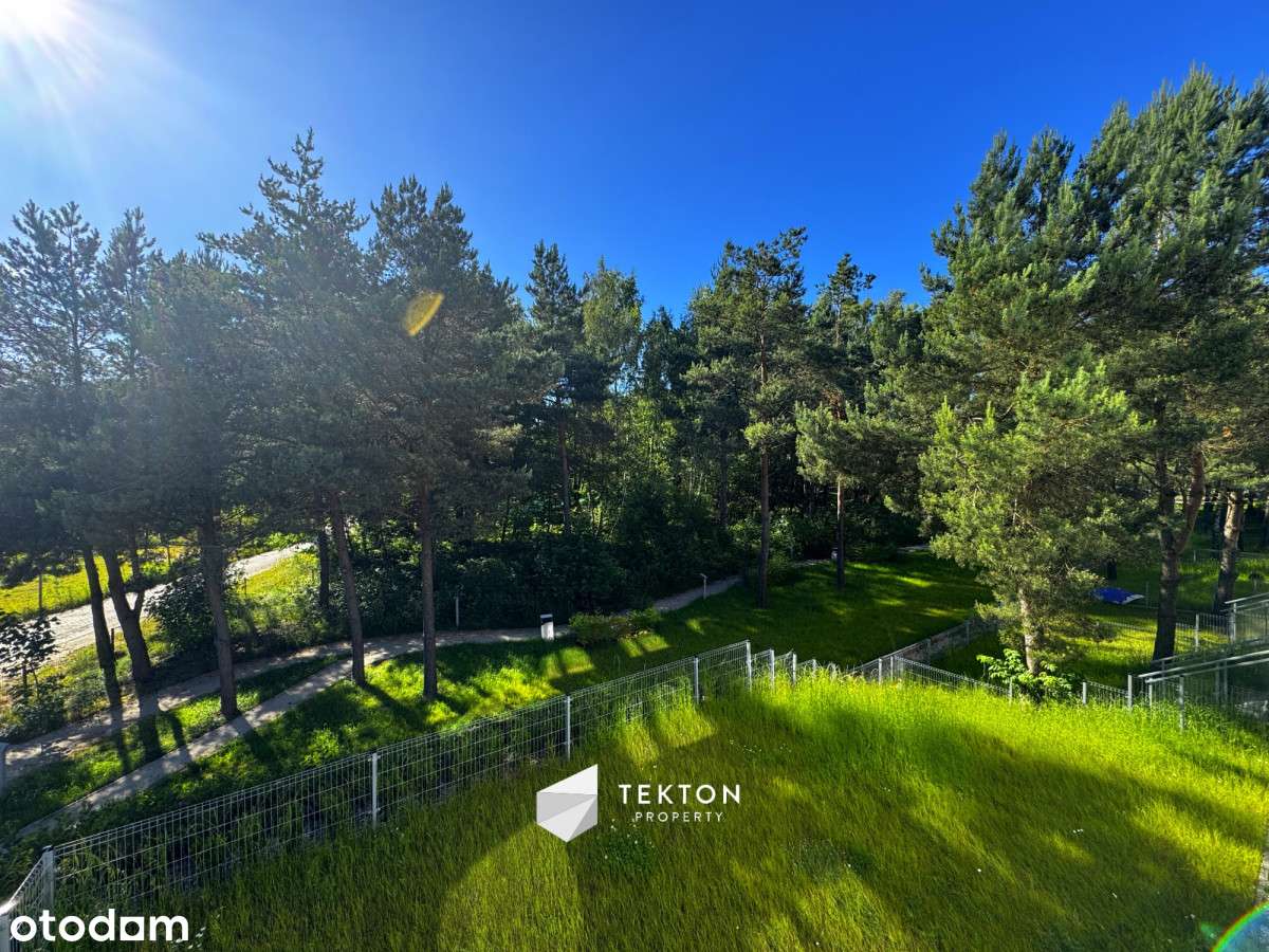 Słońce i las za oknem | Południowy zachód | Widok! - Pełny obrazek: 3/16