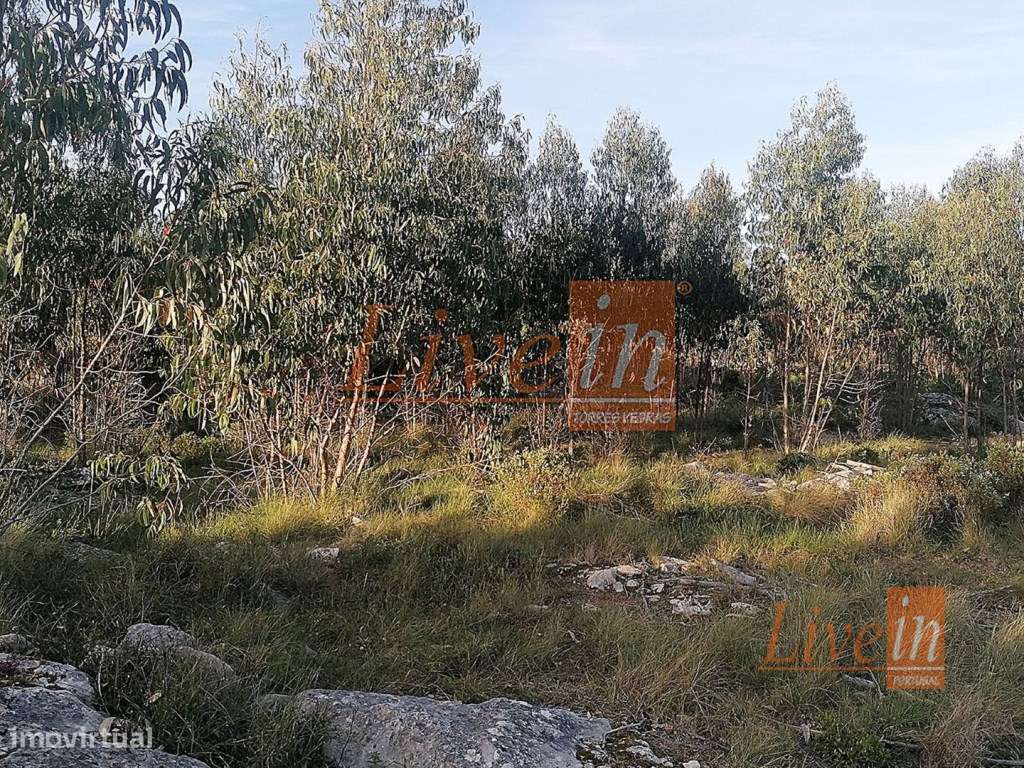 Terreno Rústico com 44520 m² na Lourinhã - Grande imagem: 5/12