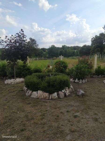 Oportunidade excelente-Quinta/Finca em Espanha fronteira com Portugal - Grande imagem: 4/12