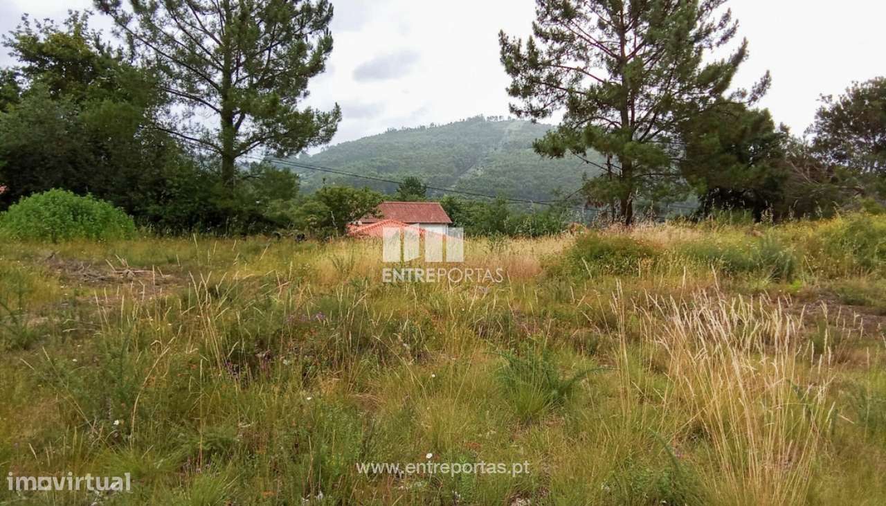 Venda de Lote, Mujães, Viana do Castelo - Grande imagem: 3/24