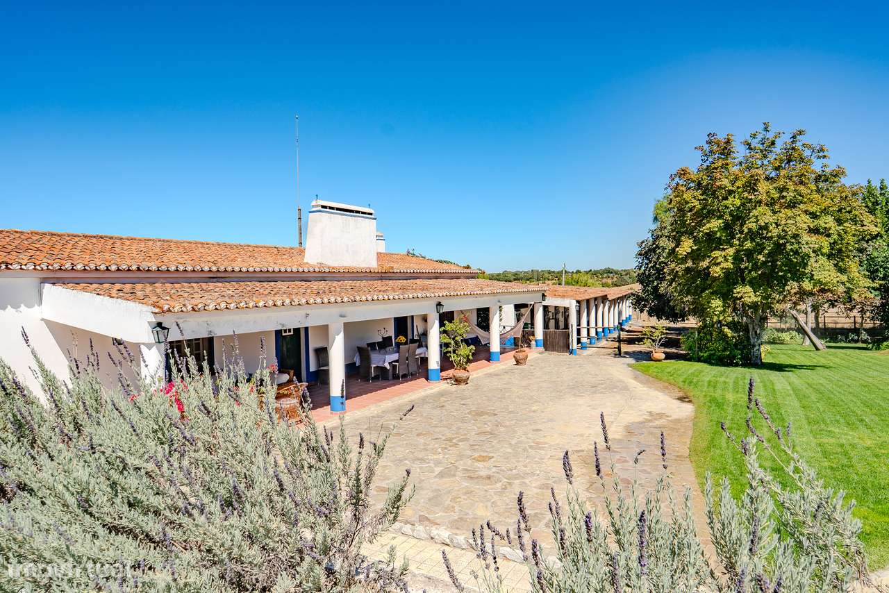 QUINTA 15 HA | VENDA | ÉVORA – ALENTEJO-40