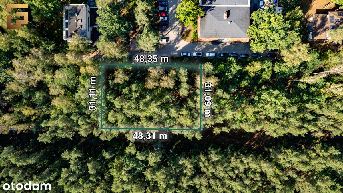 Cicha leśna działka z dobrym dojazdem / Skm - Pełny obrazek: 3/12