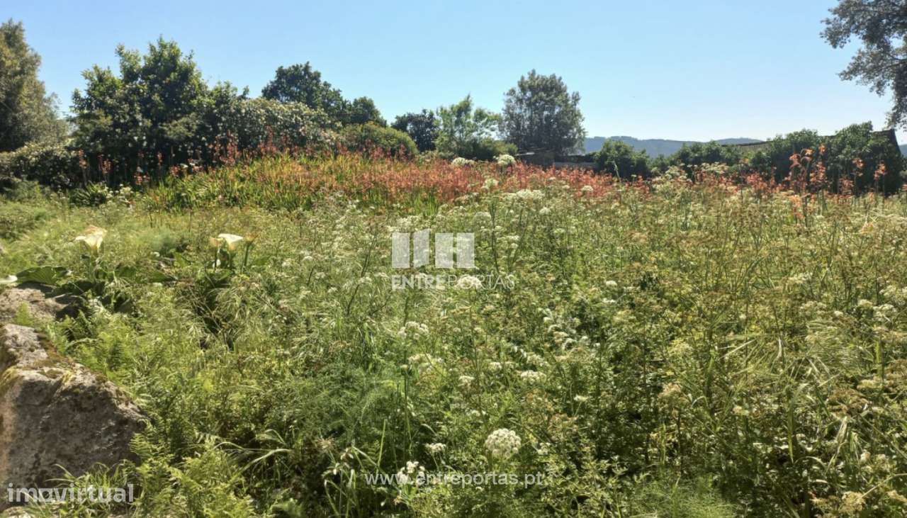 Venda de Terreno, Cardielos, Viana do Castelo - Grande imagem: 3/24