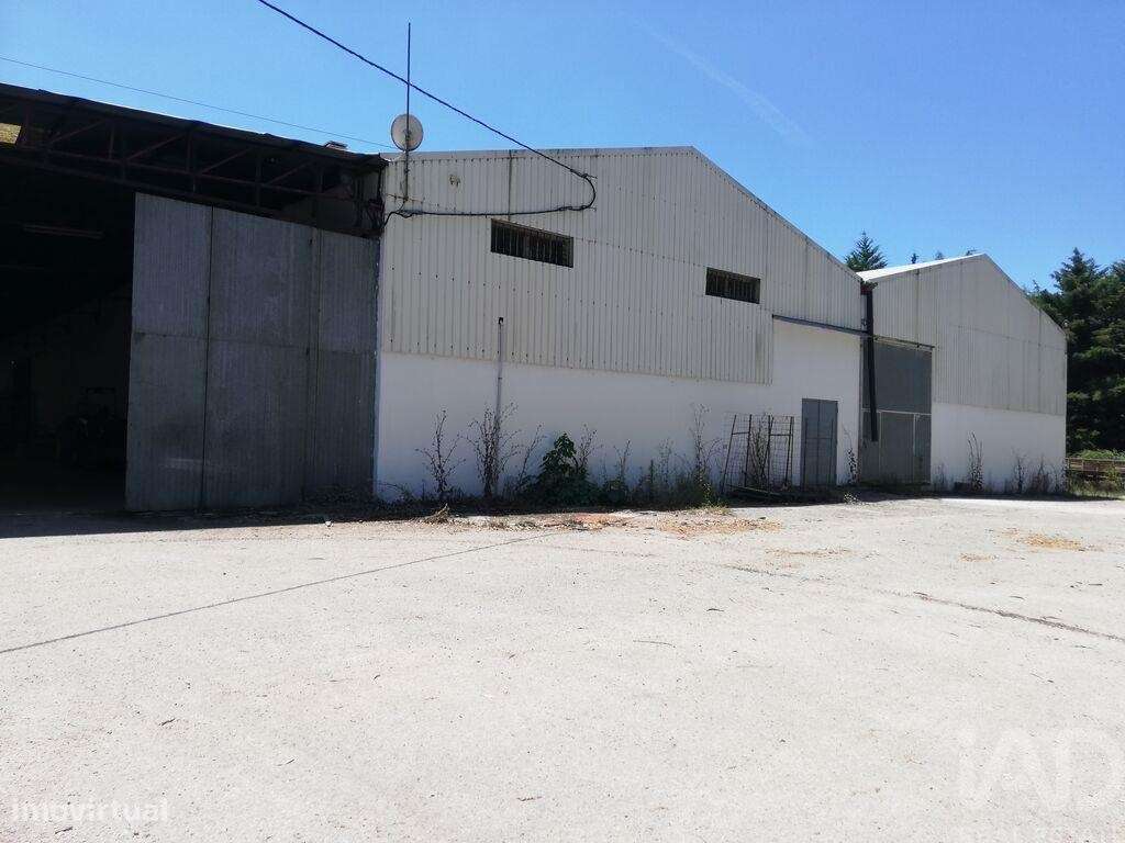 Armazém em Areias e Pias de 1200,00 m2 - Grande imagem: 2/15
