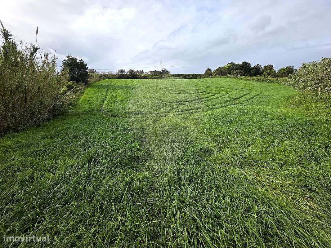 Terreno  para venda - Grande imagem: 3/7