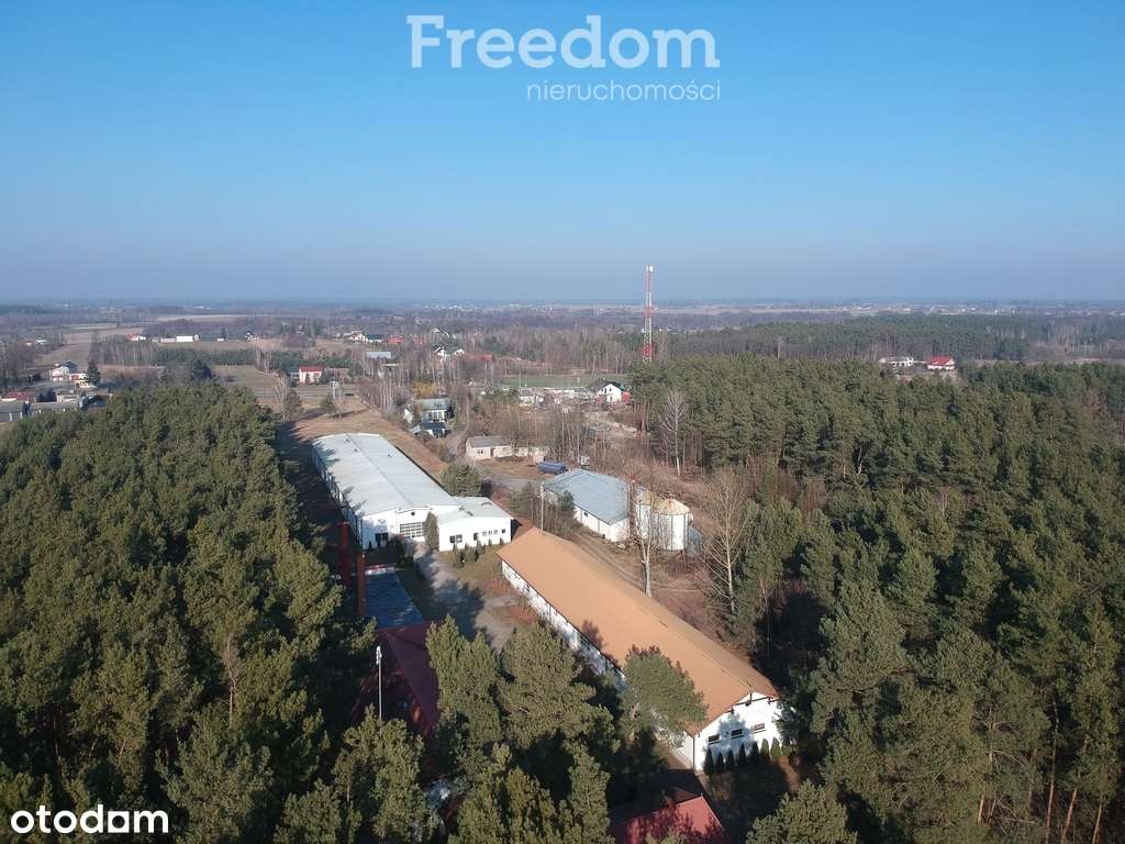 Hala produkcyjno-przemysłowa z zapleczem socjalnym - Pełny obrazek: 4/20