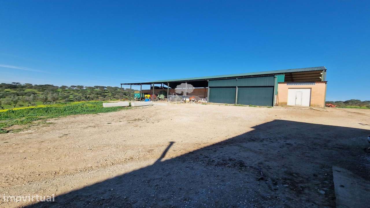 HERDADE GANADEIRA E SUINOCULTURA - Grande imagem: 3/60