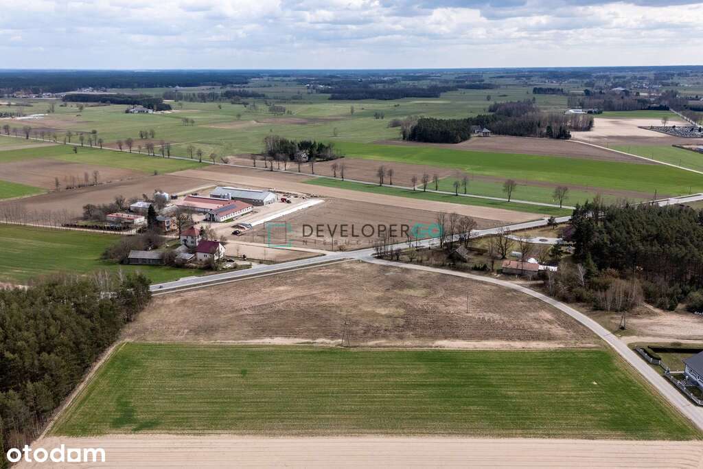 Działka inwestycyjna 1,29 ha, blisko Sypniewa - Pełny obrazek: 3/5