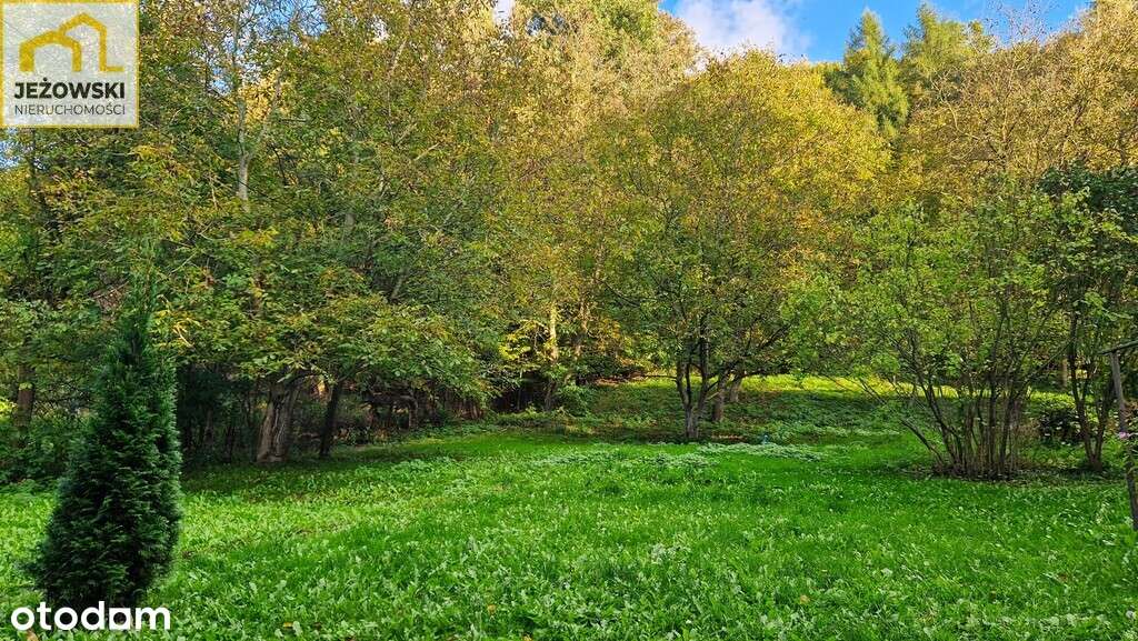 Duża działka 42ary, 1300mkw MNP przy Rajchertówce.-6