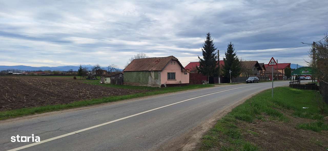 Teren intravilan pentru case in centrul Podu Oltului de 5700mp, 28 Eur - Imagine principală: 3/8