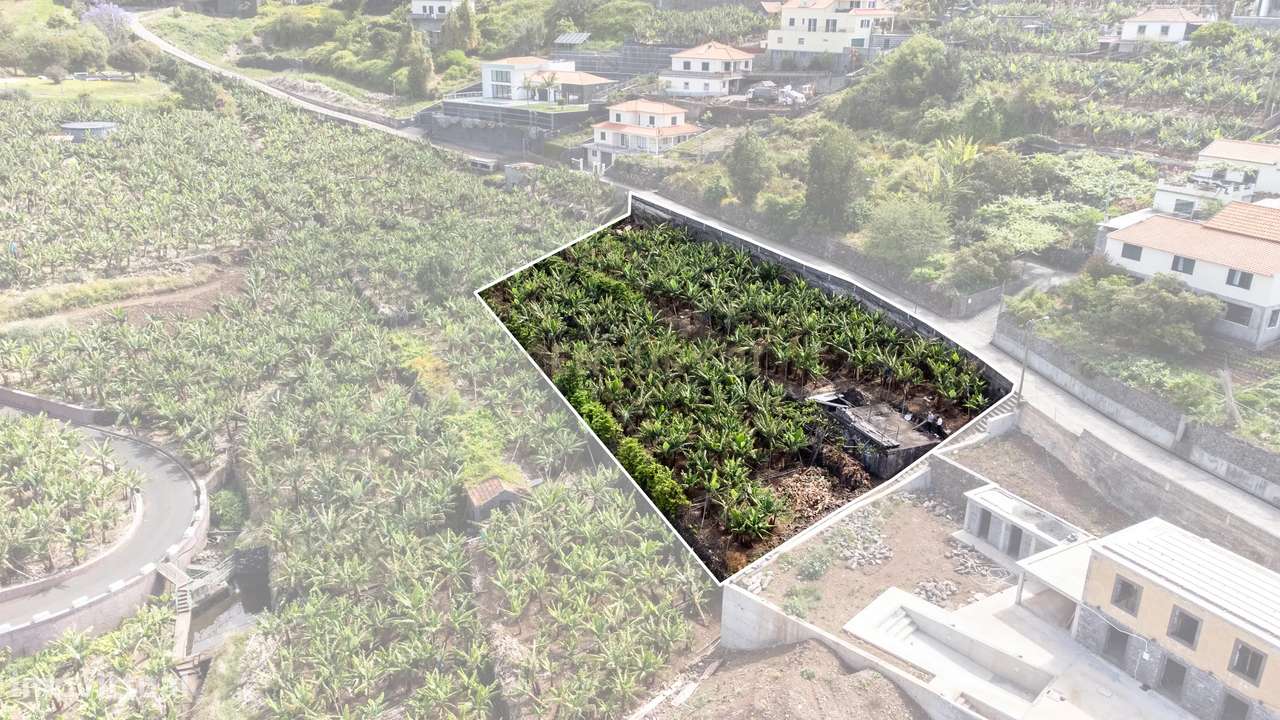 Terreno para construção 1946m2 - Arco da Calheta-6